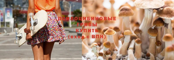 ПСИЛОЦИБИНОВЫЕ ГРИБЫ Наволоки