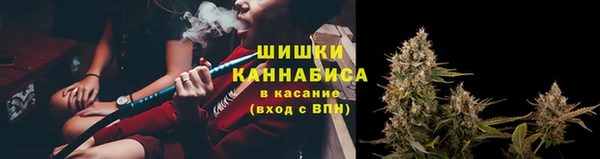 стаф Надым