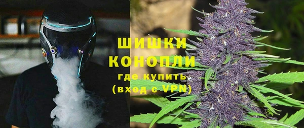 ПСИЛОЦИБИНОВЫЕ ГРИБЫ Наволоки