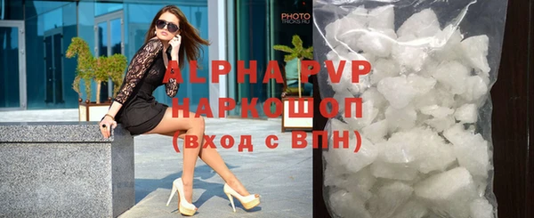 стаф Надым